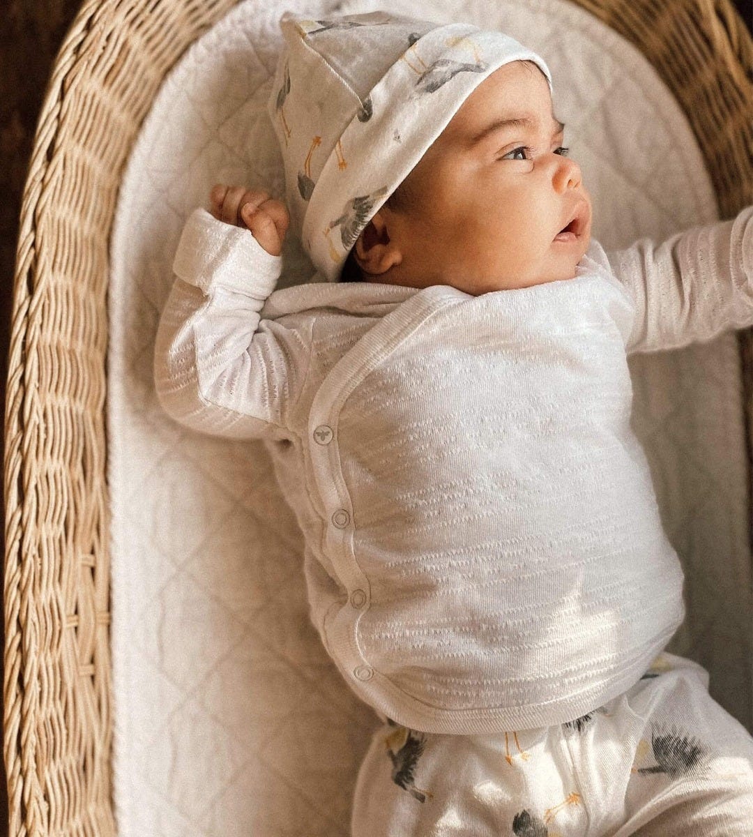 Burts Bees Baby Boy Organic Bodysuit Pants Bib Set Size 3 6 9 Grey Layette Stars 