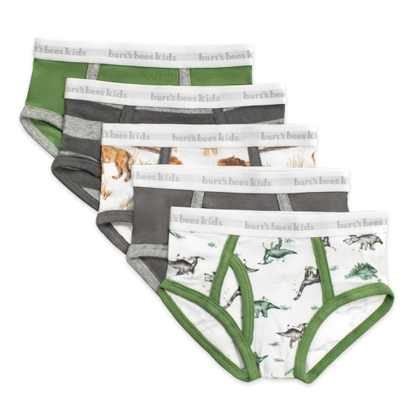 Happy Herbivores & Lions Organic Cotton Toddler Boy Underwear