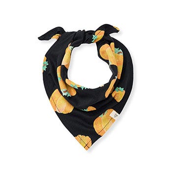 Burt's Bees Baby pet bandana pumpkins organic cotton matching family pajamas